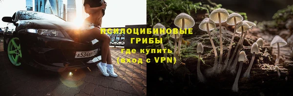 амф Костерёво